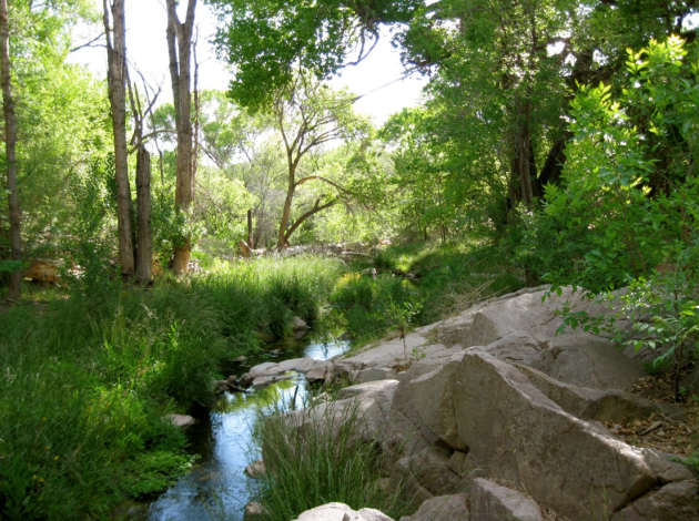 san vicente creek