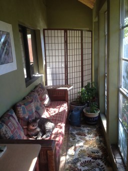 sun room 2014 copy.jpg